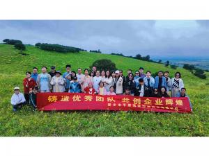 從空調(diào)房到草原天路，公司帶你解鎖夏日新體驗。